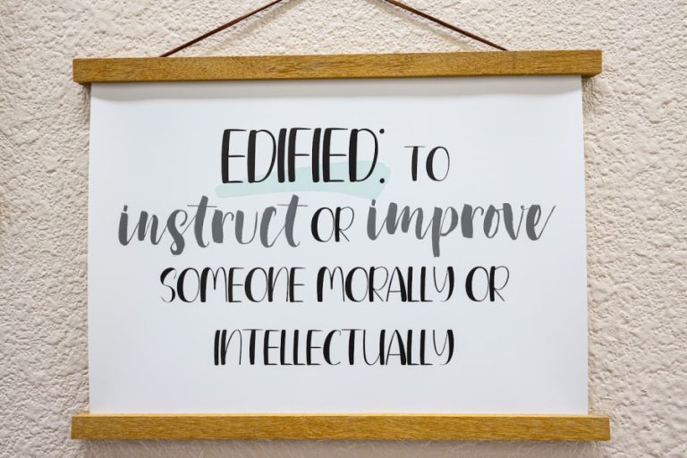 Edified Chiropractic 10 768x512