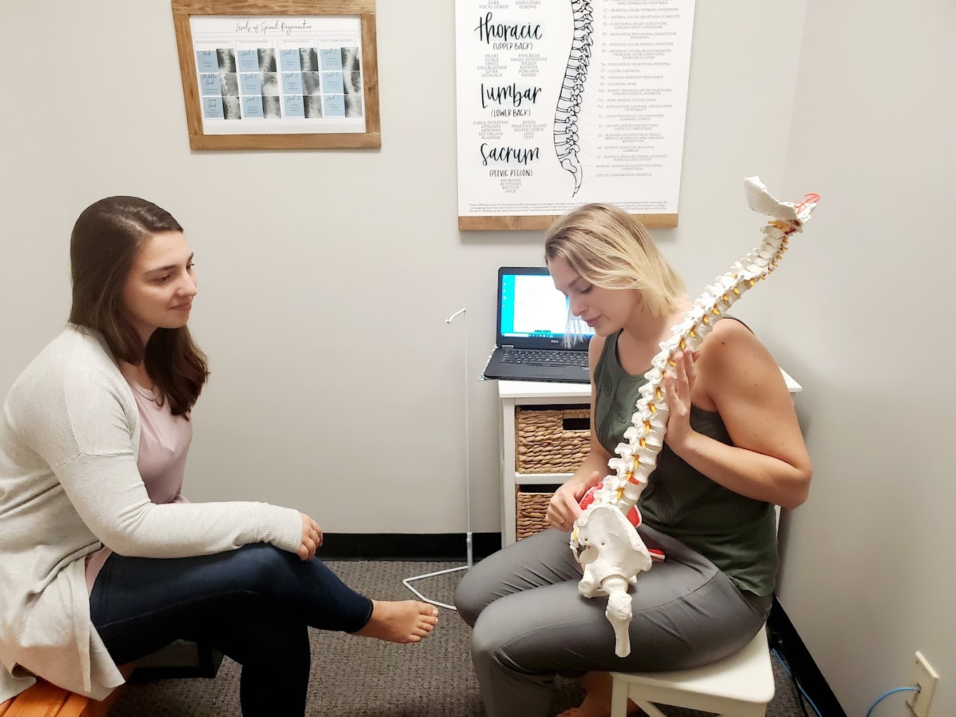 Harmony Family Chiropractic 3