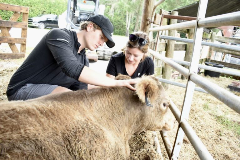 Trilogy Chiropractic 7 768x512