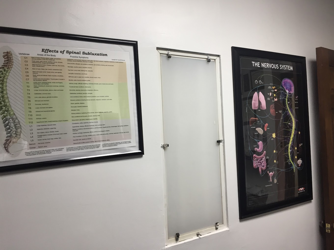 Live Holistic Chiropractic 2